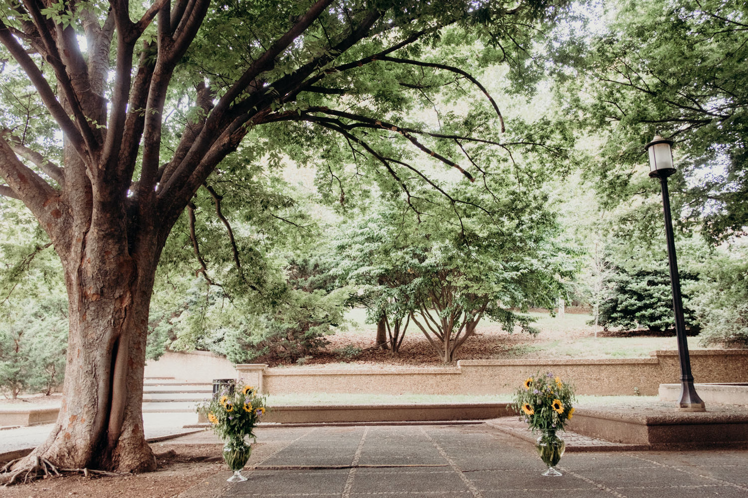 meridian hill park dc wedding-56.jpg