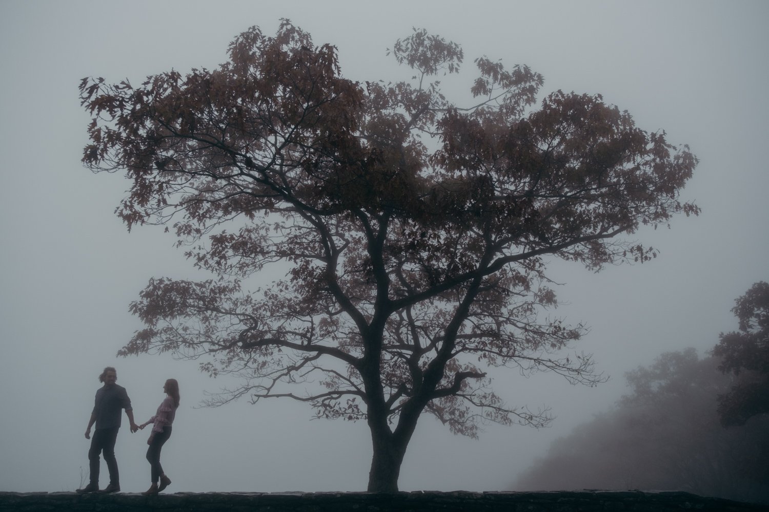 Stony Man Shenandoah Engagement Photos-20.jpg