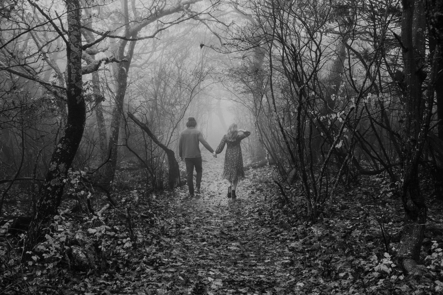 A Foggy Mountaintop Engagement Session in Shenandoah